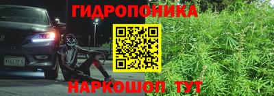 шишки Нарткала