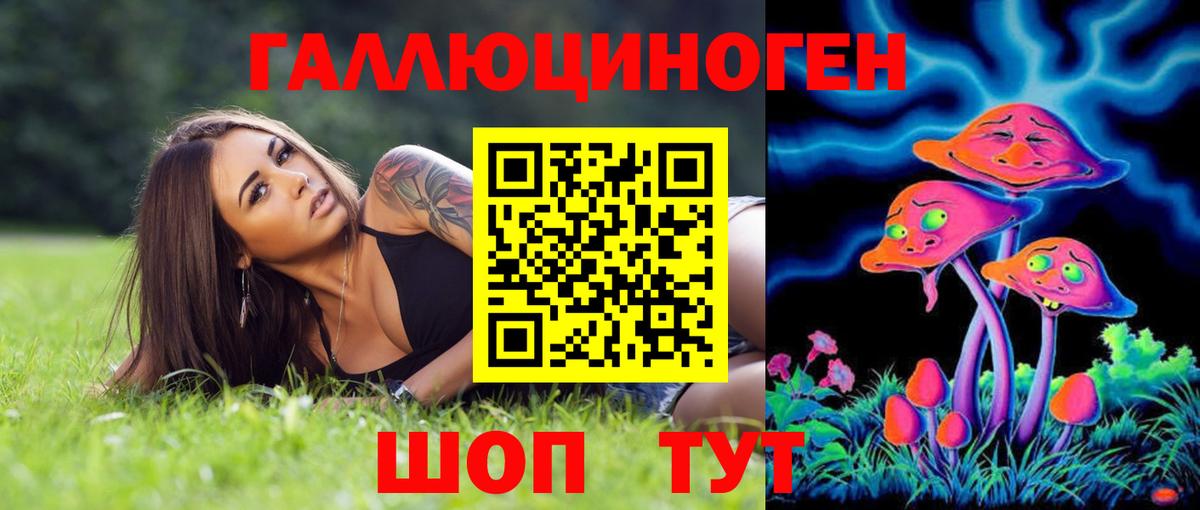 Псилоцибиновые грибы Psilocybe Усолье-Сибирское